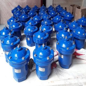 Van xả khí AUT | Malaysia | Xả khí đơn ren - Kép mặt bích | Giá rẻ