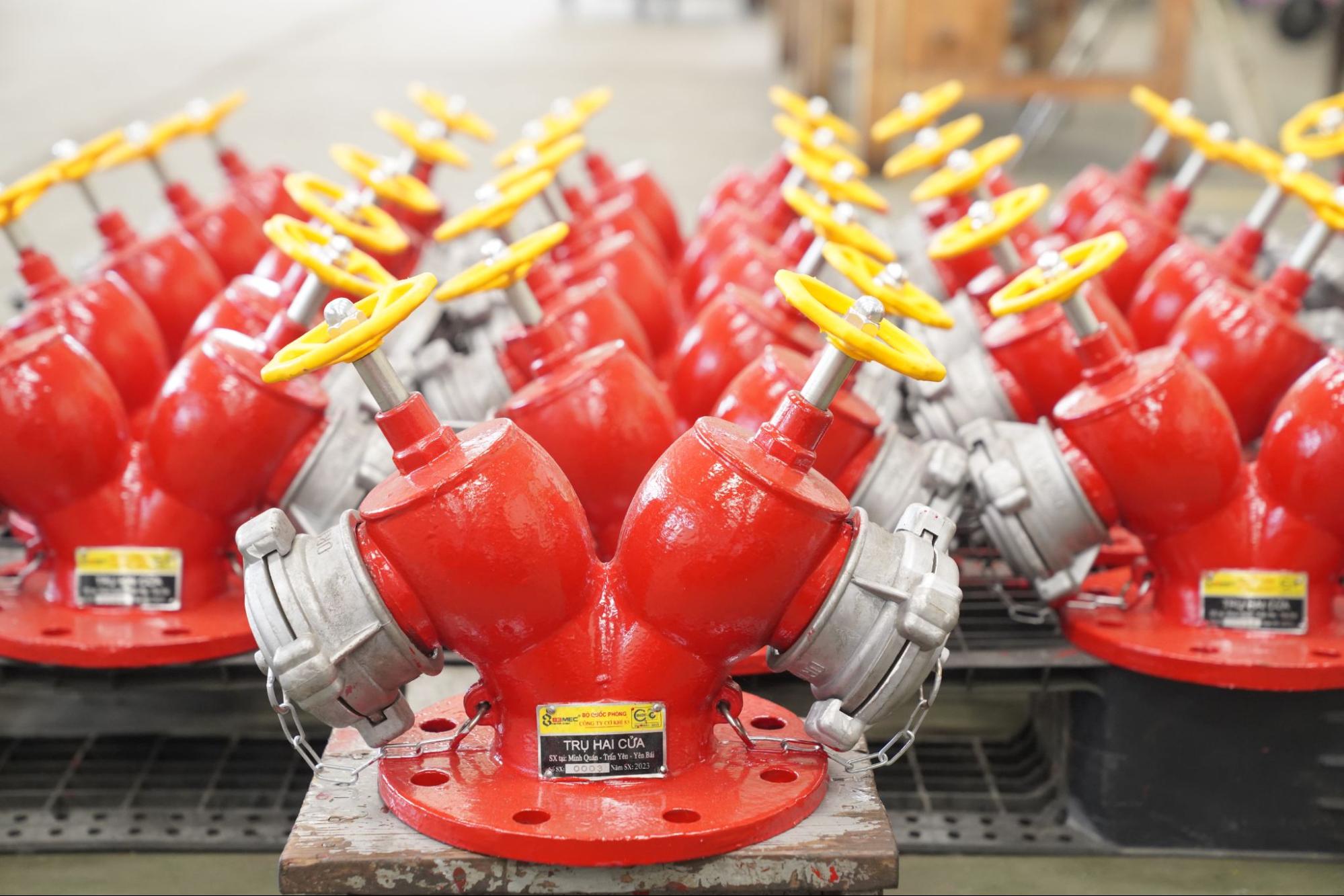 Trụ chữa cháy 2 cửa D65 - BQP
